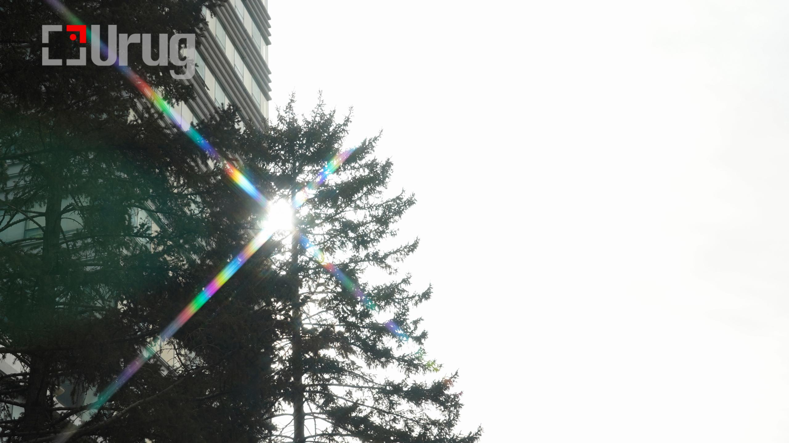 hawar tsag agaar (5)