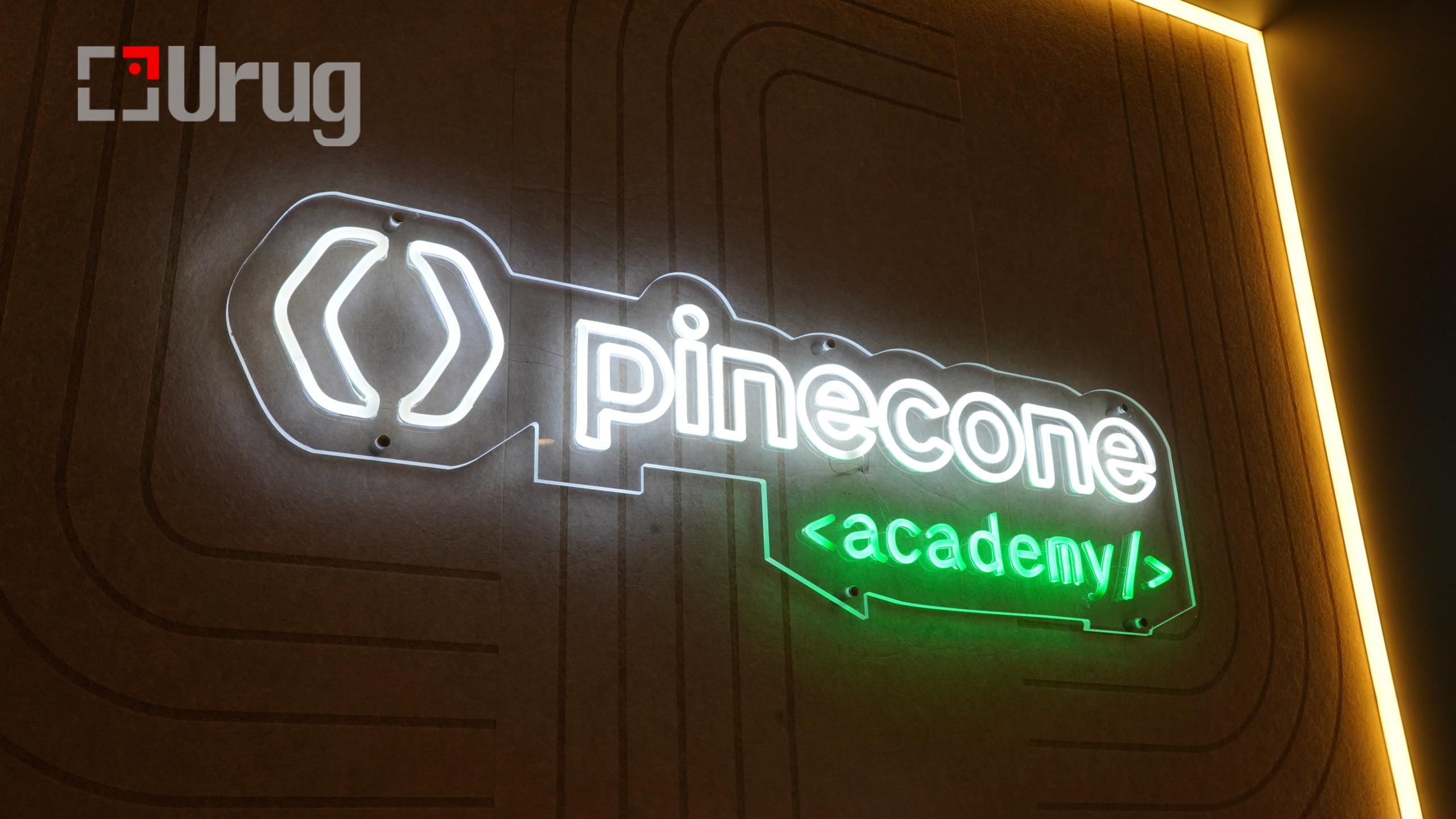 Pine cone (18)