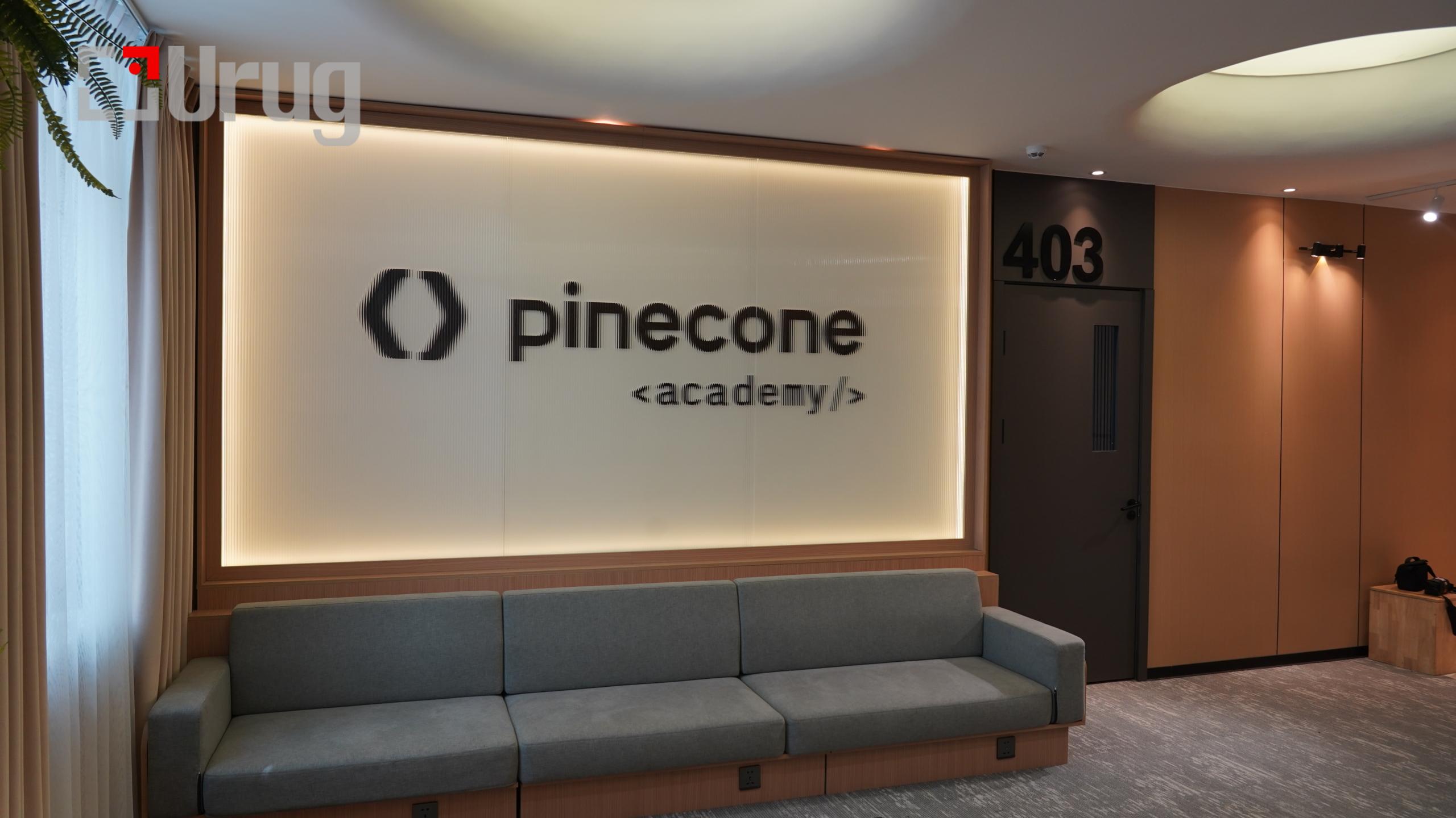 Pine cone (3)
