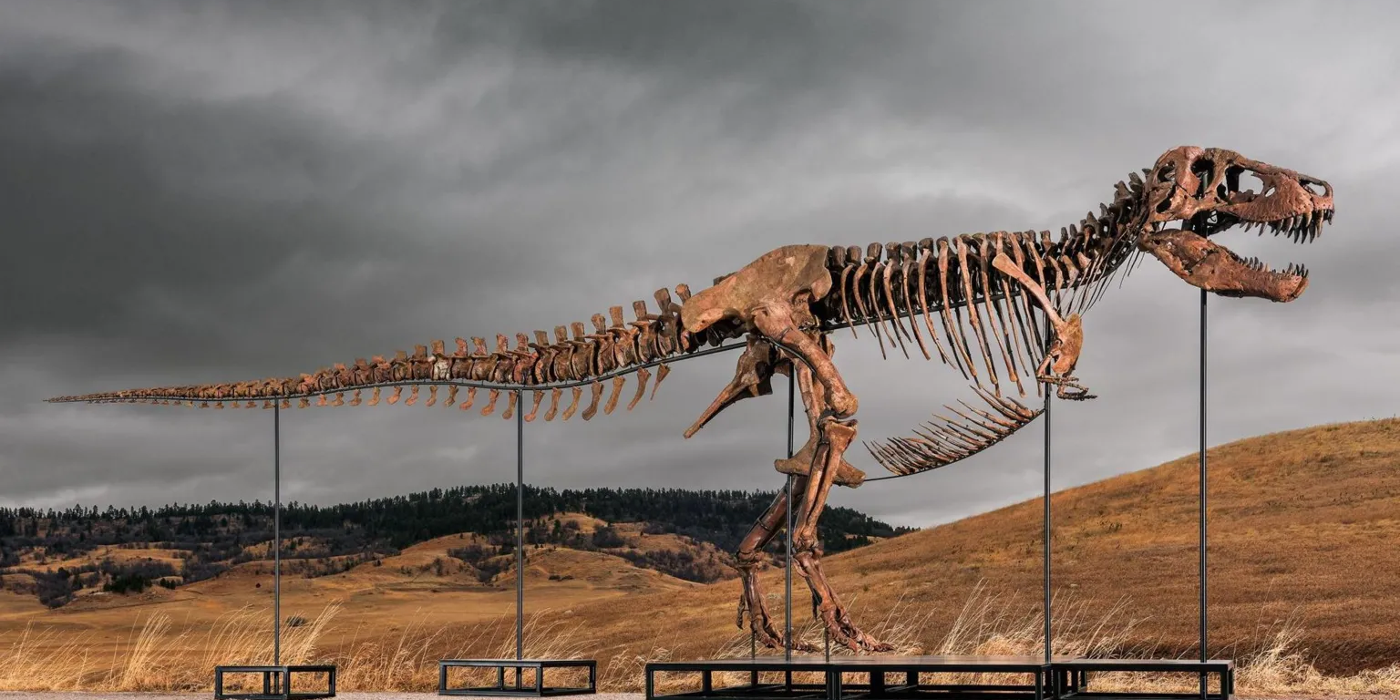 dinosaur