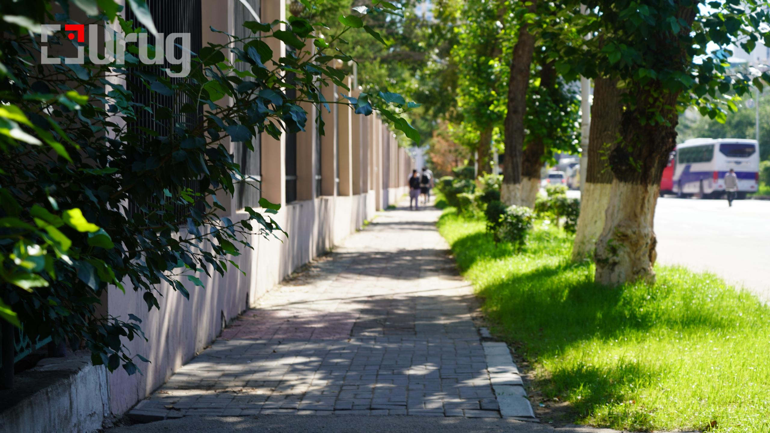 tsag agaar (2)