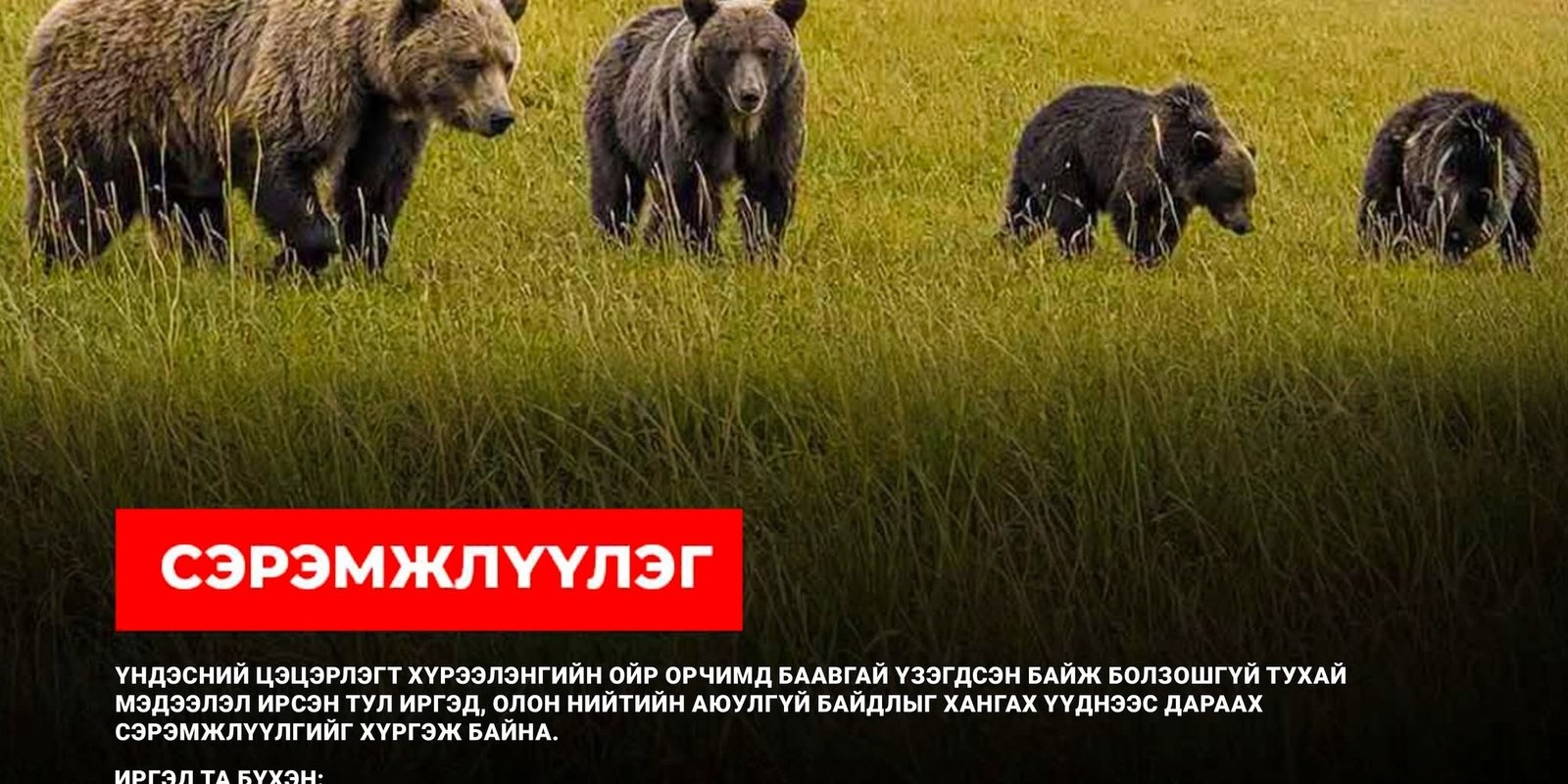 igchwr_797358477_1561550492666732_3780223556803450932_n_x974